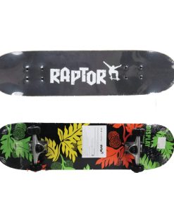 ⁦סקייטבורד raptor S7 מבית IAM TOYS⁩ – תמונה ⁦4⁩